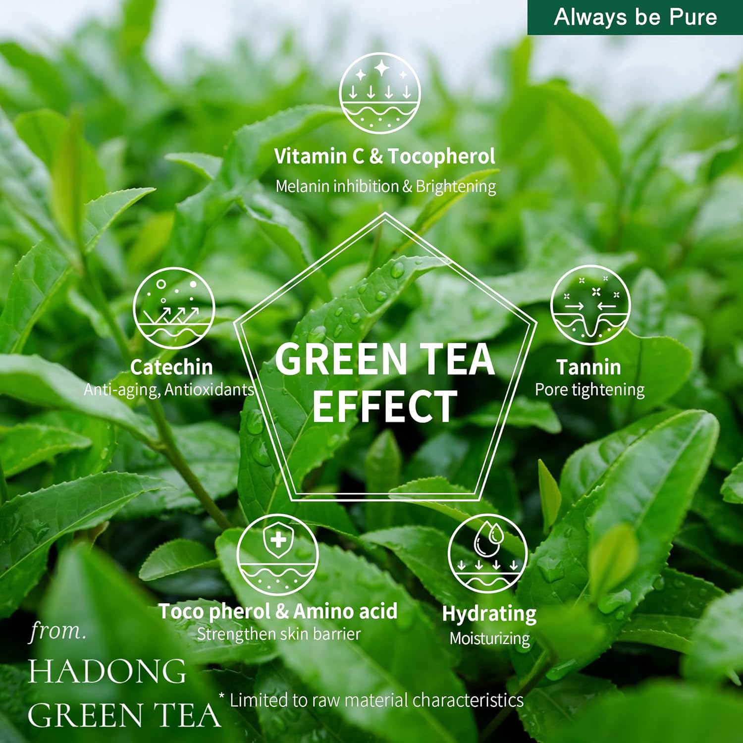 Green Tea Sleeping Mask 75ml